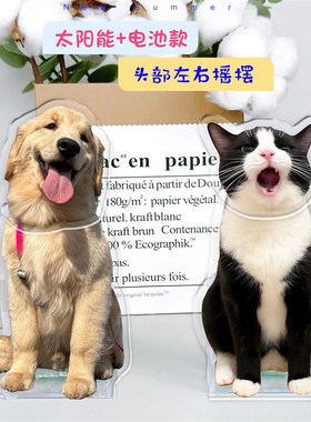 车载亚克力宠物摆件 可定制猫咪摇摇乐 桌面可爱风装饰小礼物