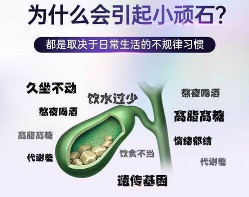 食生记黄芪姜黄素片桑椹甄选草本萃取运动营养维生素b铁皮石斛L3 - 图1