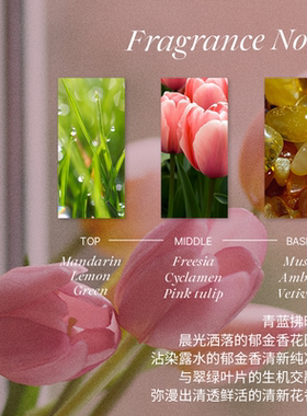 koelf晨曦郁金香香氛护手霜滋润保湿补水柔嫩润泽持久留香正品