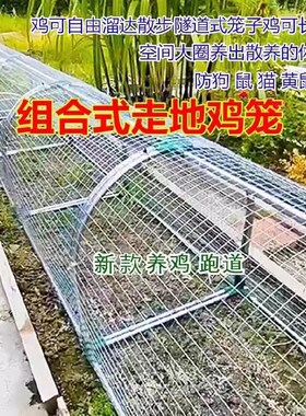 走地鸡笼跑道养鸡隧道笼子农场户外溜达鸡笼子庭院农家用散养鸡笼