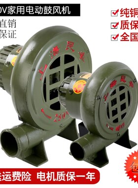 柴火灶鼓风机220V炉灶鼓风机家用小型鼓风机烧烤助燃大炉灶风机