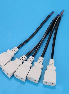足100条带线2孔母插头防水一体型二脚母头 220V公母对接AC电源头
