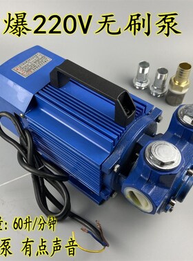 DC12V 24V抽油泵防爆电动直流自吸抽柴油汽油加油机泵 防爆汽油泵