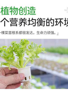 艾培尚棵无土栽培水17297营养液植种机营养粒肥AB型固体颗粒颗水