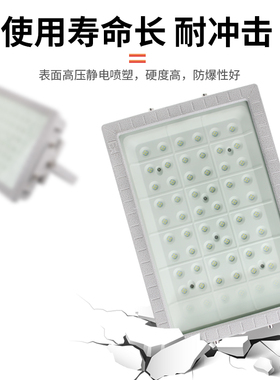 免维护防爆灯LED隔爆型灯具仓库厂房照明灯加油站顶棚AC220V应急