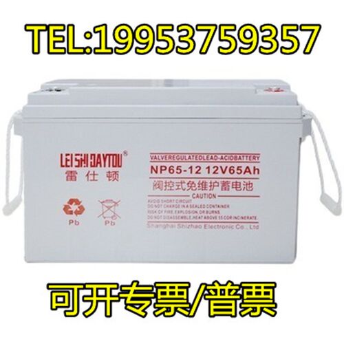 LEISHIDAYTOU雷仕顿蓄电池NP7-12 7AH17AH24AH38AH40AH65AH100AH - 图3