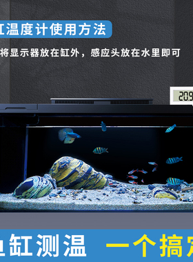 电子温度计高精度带探头冰柜温度显示器家用室内鱼缸爬虫数显水温