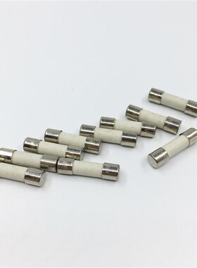 陶瓷保险管5X20mm保险丝T10AH250V万用表打印机家用熔断丝30AR054