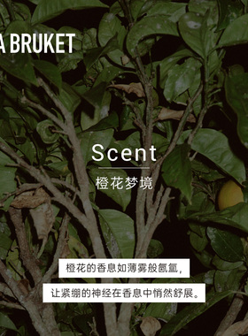 L:A BRUKET 311晚安润唇膏14g 橙花香滋润唇膏