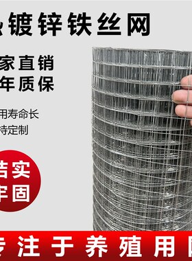 热镀锌铁丝网围栏电焊网养鸡养殖护栏网格钢丝网家用阳台防护栅栏