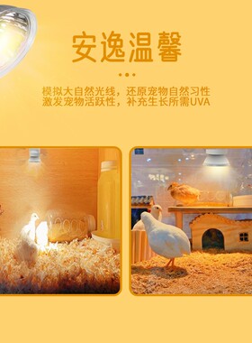 芦丁鸡保温灯晒加温背灯灯泡保温箱鹦鹉加热高温恒温保暖小鸡烤灯