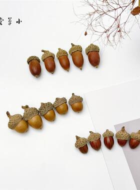 【橡果】天然真橡果籽森系饰品挂饰拍摄道具背景干花干果实橡果帽