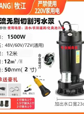 德国进口清污两用直流潜水泵12V抽水泵48V60V家用农用汽车电动车