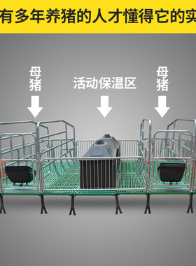 母猪产床保育两用落地厂床单体分娩床双体猪床欧式复合板养猪设备