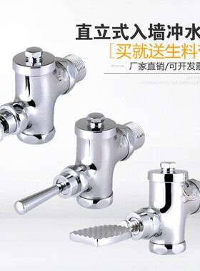 直立式入墙延时大便冲洗阀蹲便器手按冲水阀全铜厕所阀门自闭开关
