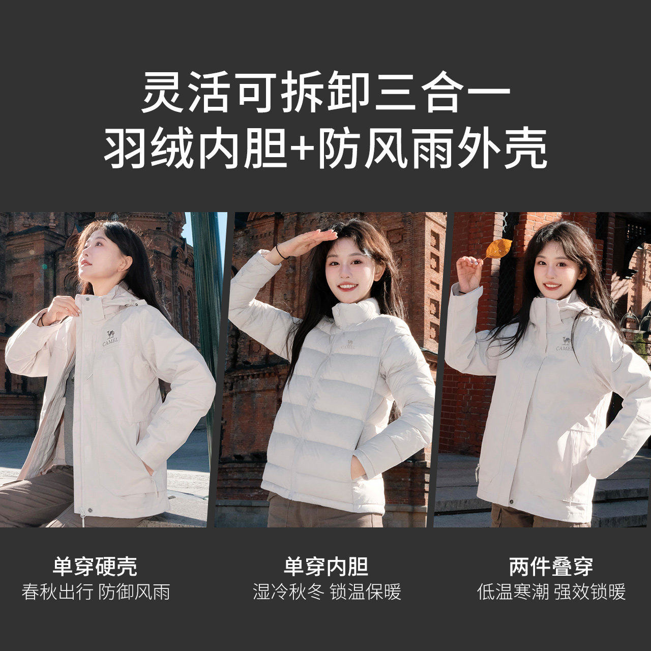 图 3