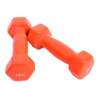 Free shipping frosted plastic-impregnated dumbbells for women's home aerobics, yoga, thin arms, round heads, small men's fitness and fat loss