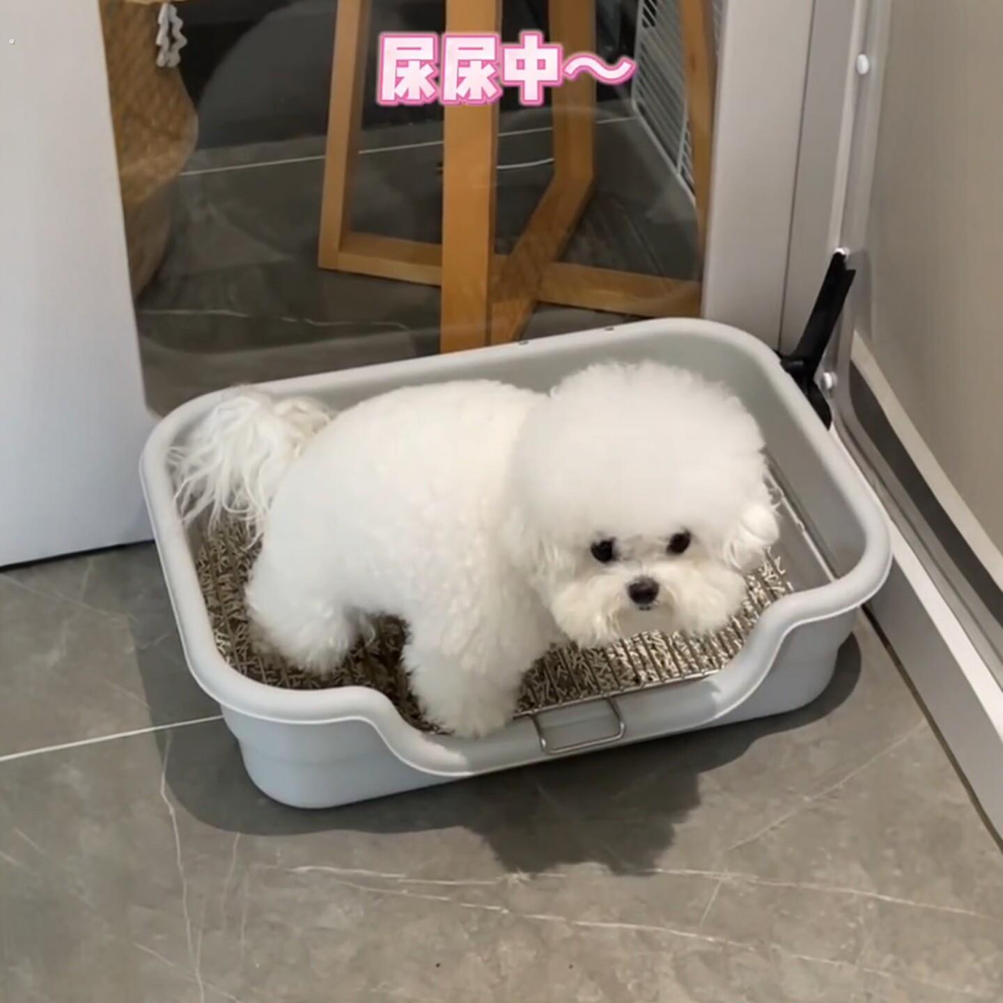 Dog toilet fixed-point toilet artifact small dog urinal basin pet anti-poop fixed urinal pad tray dog litter basin