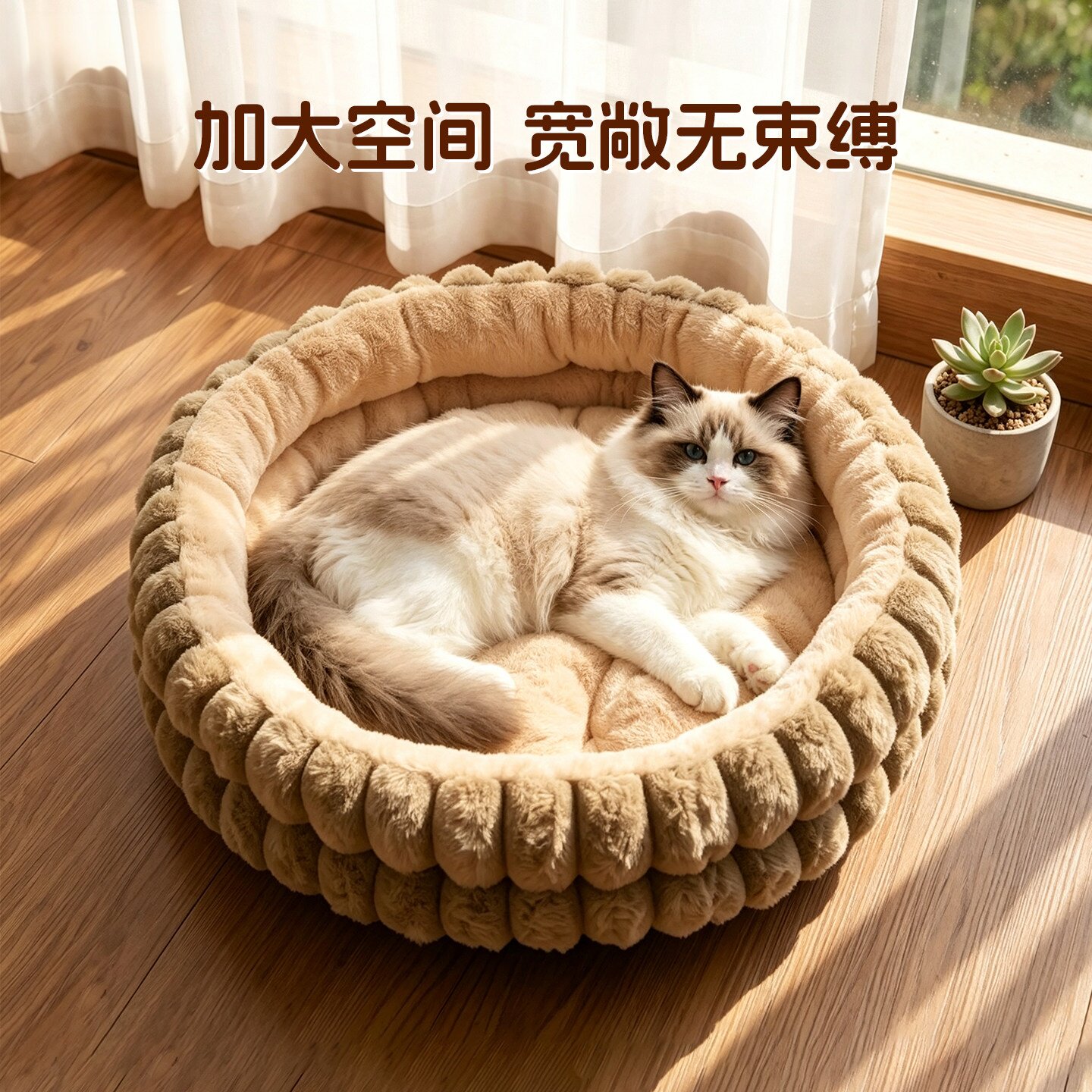 图4