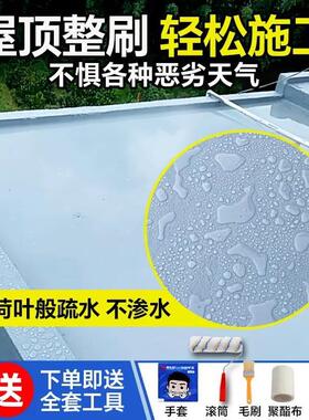 屋顶防水补漏专用涂料楼顶房顶外墙裂缝漏水堵漏王沥青材料防漏胶