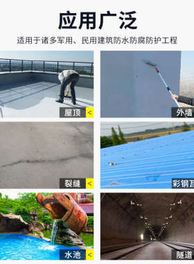 水池涂料补漏材料防漏屋顶漏水修补胶水鱼池泳池饮水池专用防水胶