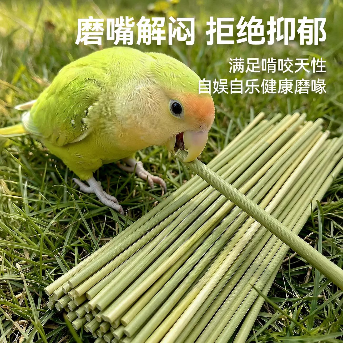 Natural Asparagus Parrot Teething Stick Toy