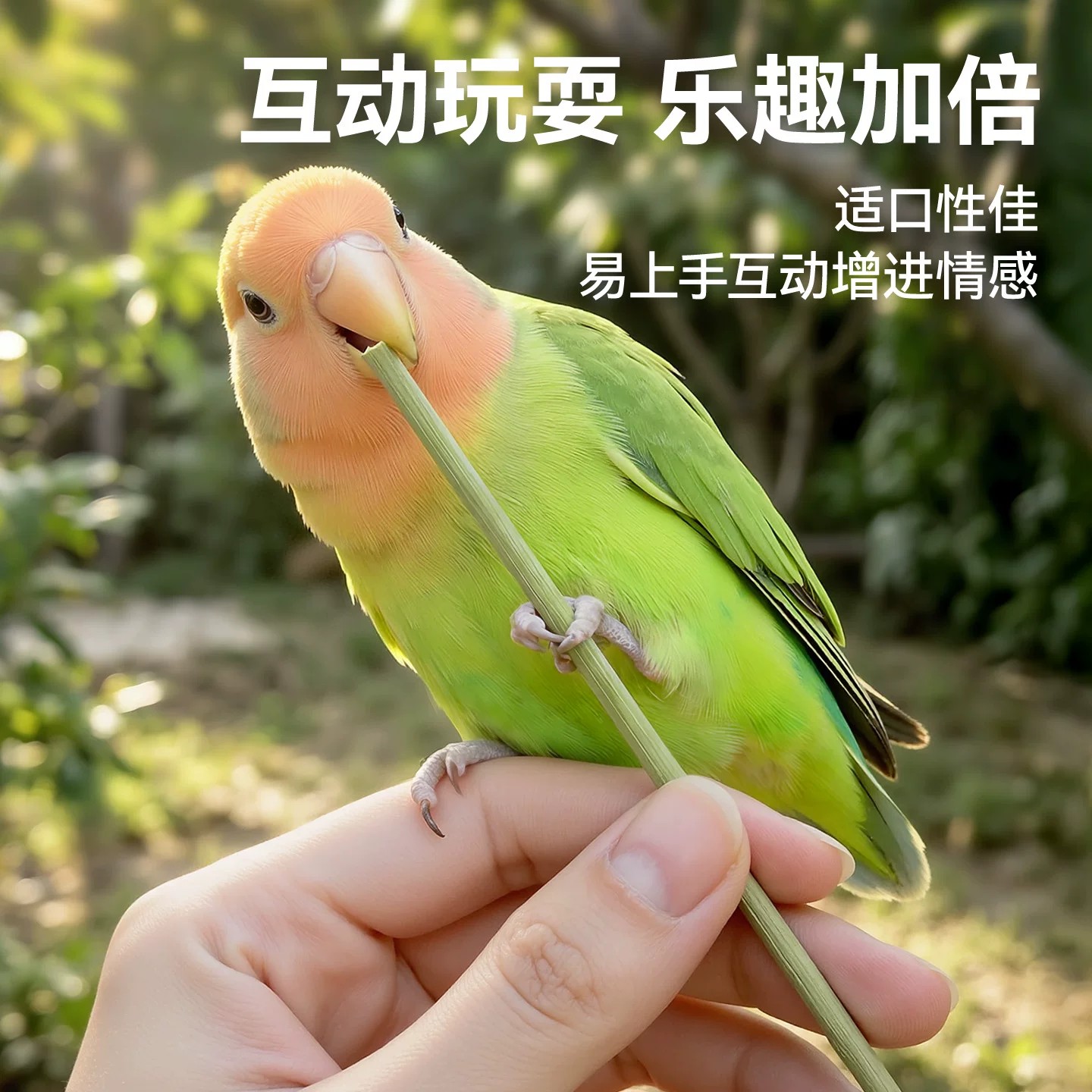 Natural Asparagus Parrot Teething Stick Toy
