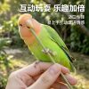 Natural Asparagus Parrot Teething Stick Toy