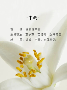 植忆【夜宁方舟】助眠香薰精油卧室家用扩香放松天然香氛植物精油