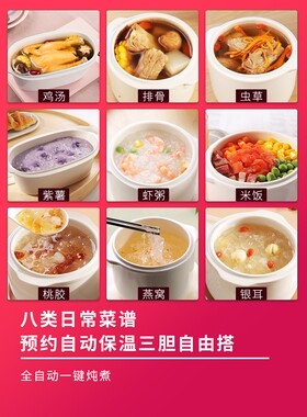瓷用隔水炖炖盅全自动电动炖锅陶煲镉水饨肉熬粥煮饭bb宝汤锅家汤
