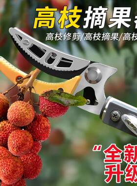 摘水果神器伸缩杆高空摘果器加长修枝剪刀采摘荔枝龙眼杨梅高枝剪