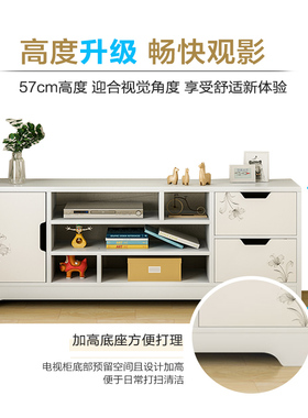 电视柜组合墙柜现代简约电视桌子小户型简易高款卧室家用电视机柜