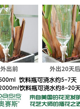 滴水器浇花神器自动浇水器绿植滴灌出差渗水器