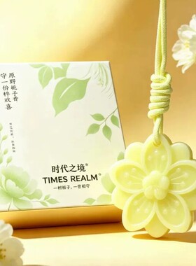 石膏香薰蜡片室内香味神器持久留香车载除味香氛高级香薰除味