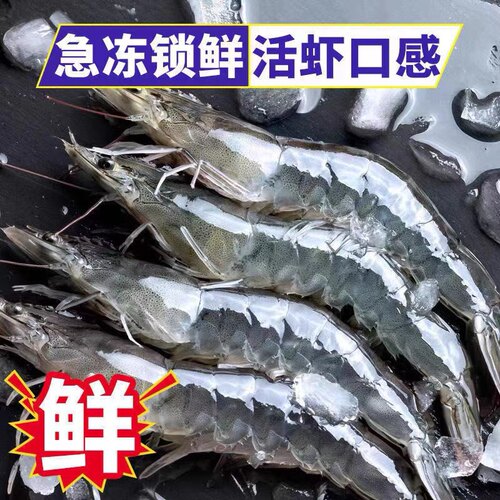 新鲜青岛海捕虾对虾青虾大海虾净重3.6-3.8斤海捕虾4斤/盒 - 图2