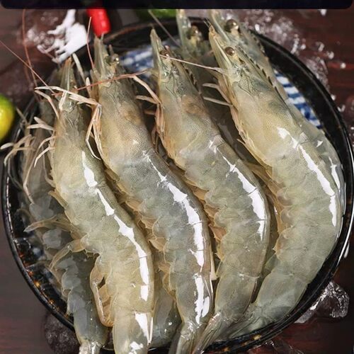 新鲜青岛海捕虾对虾青虾大海虾净重3.6-3.8斤海捕虾4斤/盒 - 图0