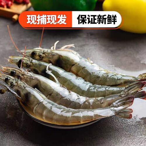 新鲜青岛海捕虾对虾青虾大海虾净重3.6-3.8斤海捕虾4斤/盒 - 图1