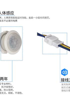 探测者220V红外线人体感应开关监视器智能延时自动模块楼道LED300
