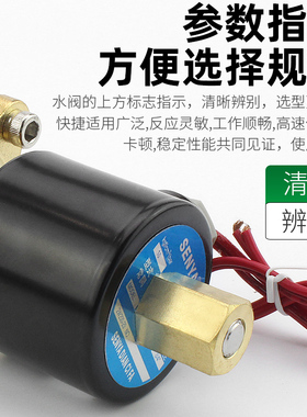 常开铜电磁水阀220V放水排水管淋水24V电动控制开关电子阀12V气阀
