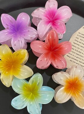 赵昭仪同款甜美鸡蛋花抓夹发夹