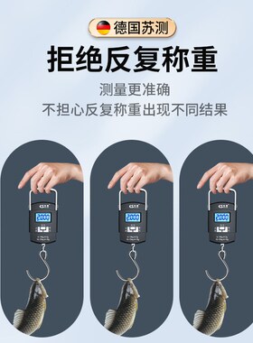 德国苏测充电称鱼器钓鱼电子秤鱼器便携迷你精准钓鱼称家用弹簧秤