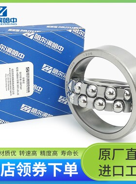哈尔滨调心球轴承1200 1201 1202 1203 1204 1205 1206 1207 高速