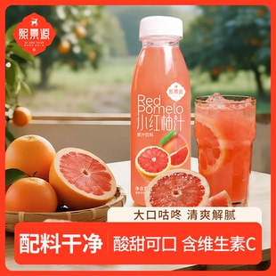 熙景源小红柚果汁饮料300ml*8瓶整箱装
