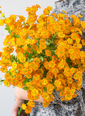 奶油洋甘菊小雏菊假花仿真花高档新款花店花瓶桶插花摆设花艺摆件