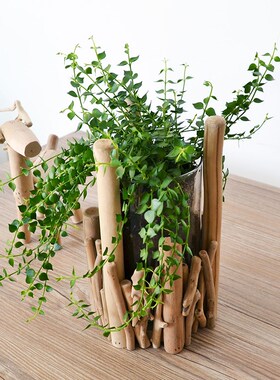 手工原木树枝绿植花瓶摆件客厅玄关插花艺创意高级感装饰餐桌花器