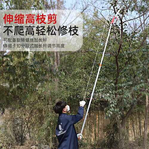 巨帆高空修枝剪SK5高枝摘果剪园林滑轮修枝剪果树枝剪整枝修枝锯 - 图0