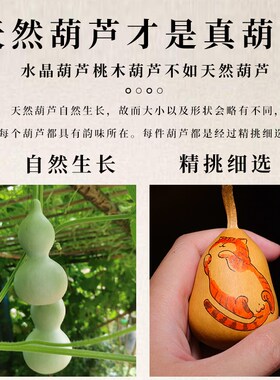 文玩葫芦手把件天然摆件手工趣味李子柒艺术品针刺彩绘小猫咪烟台