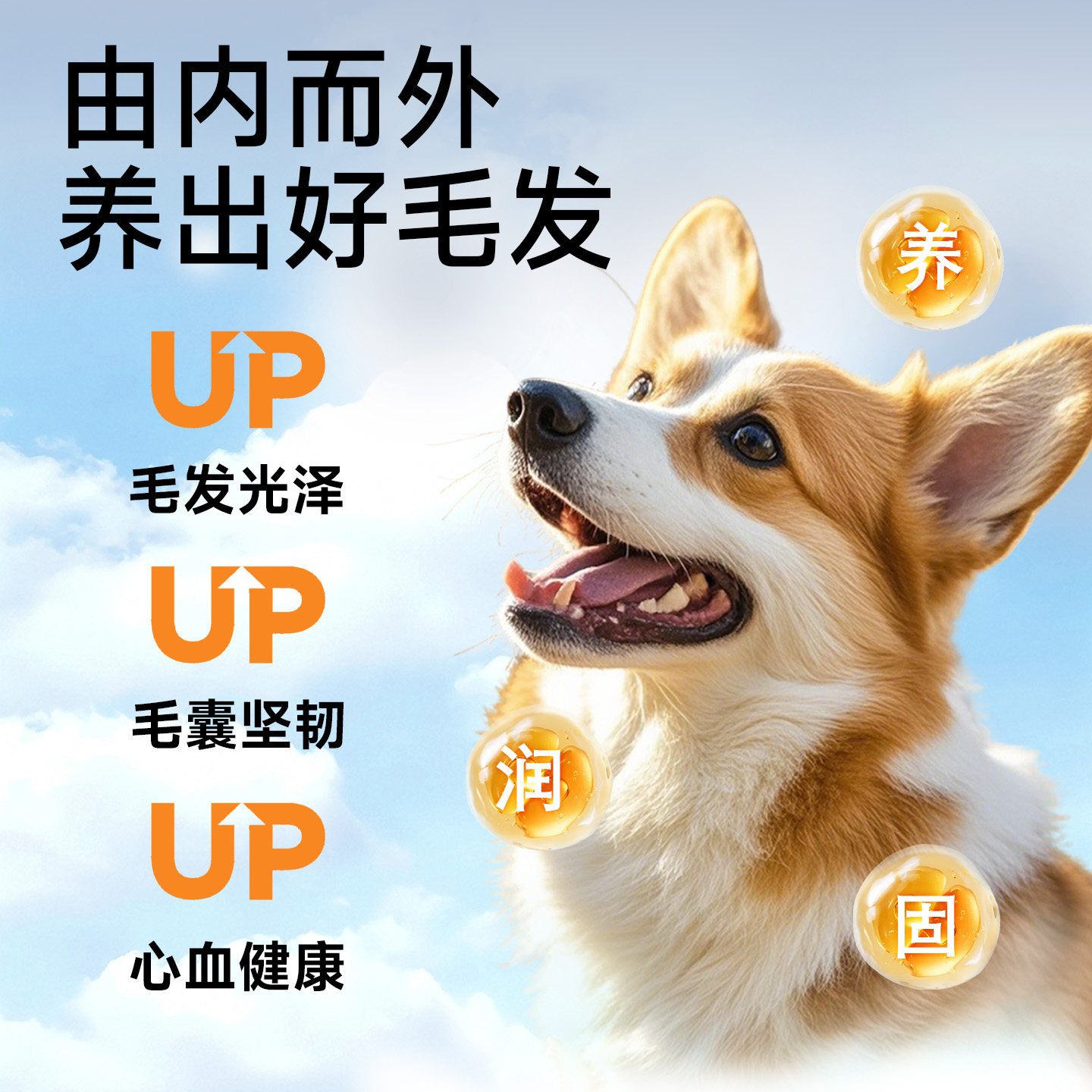 cuteglutton深海鱼油高浓度omega3月见草油猫狗通用掉毛营养滋补