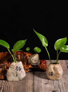 陶瓷禅意水培绿萝花盆器皿创意小花器粗花瓶装饰客厅茶桌装饰摆件