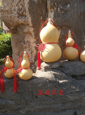 门对门天然开口小葫芦挂件葫芦家居客厅摆件大葫芦装饰工艺品包邮